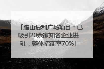 腊山复利广场项目：已吸引20余家知名企业进驻，整体招商率70%