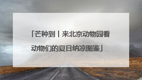 芒种到丨来北京动物园看动物们的夏日纳凉图鉴