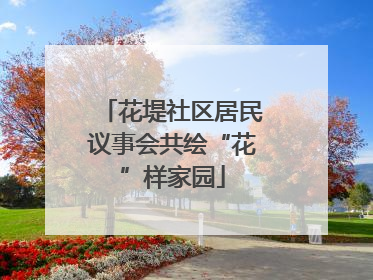 花堤社区居民议事会共绘“花”样家园