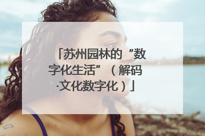 苏州园林的“数字化生活”（解码·文化数字化）