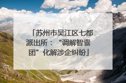 苏州市吴江区七都派出所：“调解智囊团”化解涉企纠纷