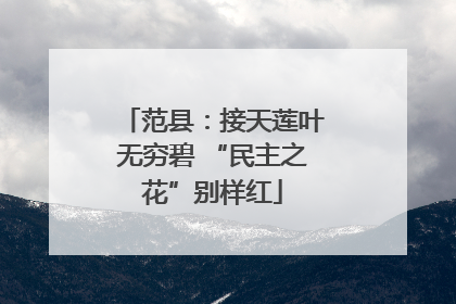 范县：接天莲叶无穷碧 “民主之花”别样红