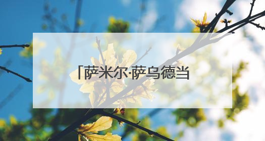 萨米尔·萨乌德当选巴西足协主席