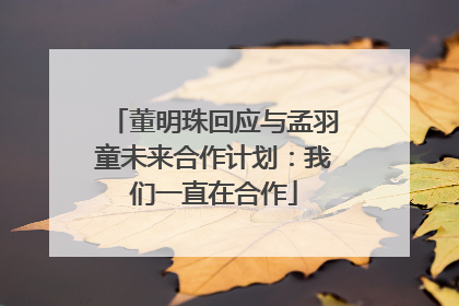 董明珠回应与孟羽童未来合作计划：我们一直在合作