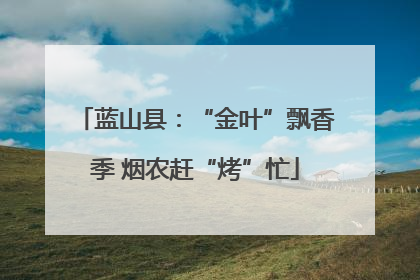 蓝山县：“金叶”飘香季 烟农赶“烤”忙