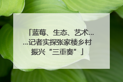 蓝莓、生态、艺术……记者实探张家楼乡村振兴“三重奏”