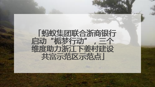 蚂蚁集团联合浙商银行启动“栀梦行动”，三个维度助力浙江下姜村建设共富示范区示范点
