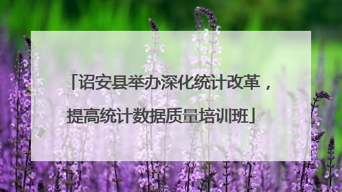 诏安县举办深化统计改革，提高统计数据质量培训班