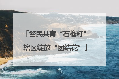 警民共育“石榴籽” 辖区绽放“团结花”