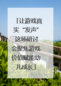 让游戏真实“发声” 这场研讨会聚焦游戏价值赋能幼儿成长