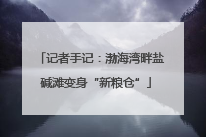 记者手记：渤海湾畔盐碱滩变身“新粮仓”
