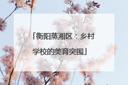 衡阳蒸湘区：乡村学校的美育突围
