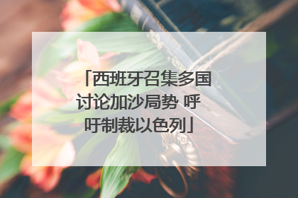 西班牙召集多国讨论加沙局势 呼吁制裁以色列