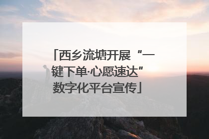 西乡流塘开展“一键下单·心愿速达”数字化平台宣传