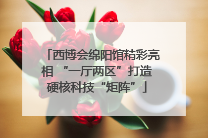 西博会绵阳馆精彩亮相 “一厅两区”打造硬核科技“矩阵”
