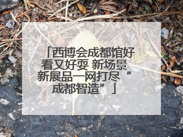 西博会成都馆好看又好耍 新场景新展品一网打尽“成都智造”