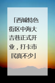 西城特色街区中海大吉巷正式开业，打卡市民真不少