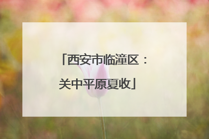 西安市临潼区：关中平原夏收