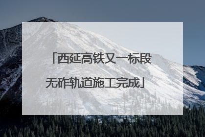 西延高铁又一标段无砟轨道施工完成
