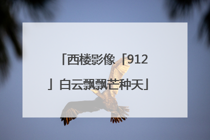 西楼影像「912」白云飘飘芒种天