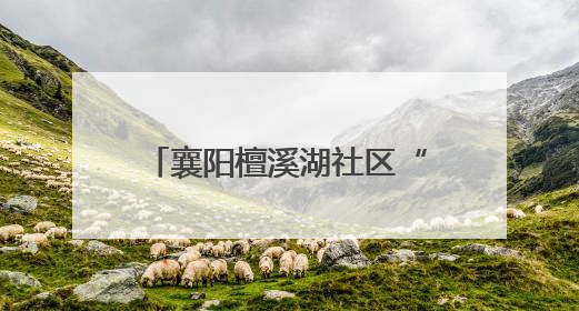 襄阳檀溪湖社区“小手拉大手”洁城靓家园活动暖心收官