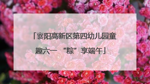 襄阳高新区第四幼儿园童趣六一 “粽”享端午