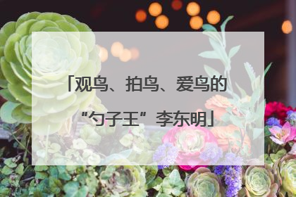观鸟、拍鸟、爱鸟的“勺子王”李东明