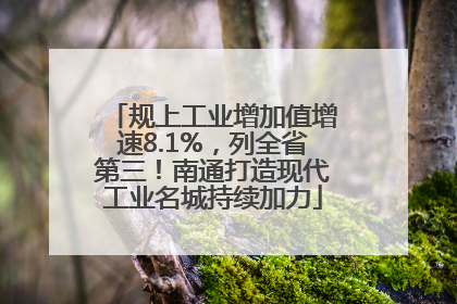 规上工业增加值增速8.1%，列全省第三！南通打造现代工业名城持续加力