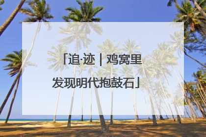 追·迹｜鸡窝里发现明代抱鼓石