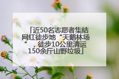 近50名志愿者集结网红徒步地“天鹅林场”，徒步10公里清运150余斤山野垃圾