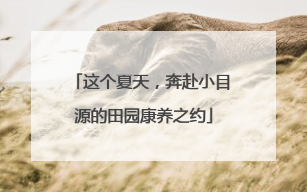 这个夏天，奔赴小目源的田园康养之约