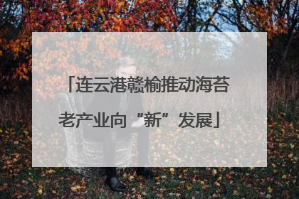 连云港赣榆推动海苔老产业向“新”发展