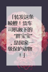 转发这条鲮鲤！货车司机救下的“胖宝宝”，是国家一级保护动物！