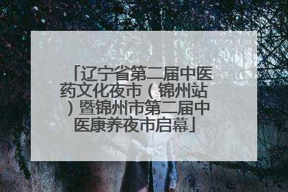 辽宁省第二届中医药文化夜市（锦州站）暨锦州市第二届中医康养夜市启幕