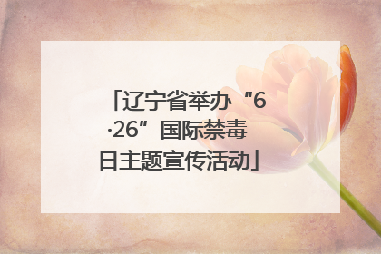 辽宁省举办“6·26”国际禁毒日主题宣传活动