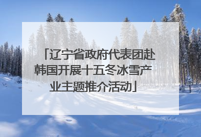辽宁省政府代表团赴韩国开展十五冬冰雪产业主题推介活动