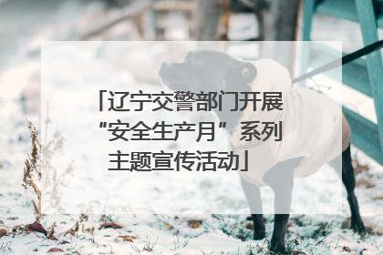 辽宁交警部门开展“安全生产月”系列主题宣传活动