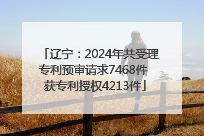 辽宁：2024年共受理专利预审请求7468件 获专利授权4213件