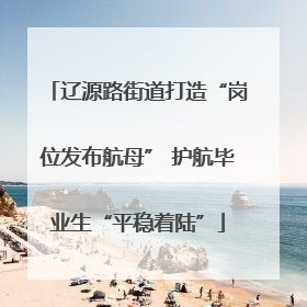 辽源路街道打造“岗位发布航母” 护航毕业生“平稳着陆”