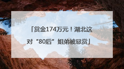 赏金174万元！湖北这对“80后”姐弟被悬赏