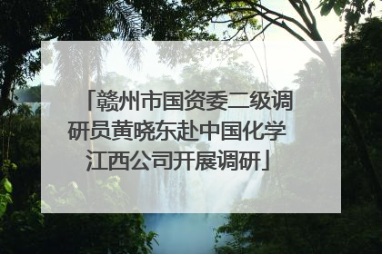 赣州市国资委二级调研员黄晓东赴中国化学江西公司开展调研