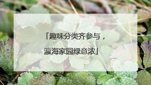 趣味分类齐参与，瀛海家园绿意浓