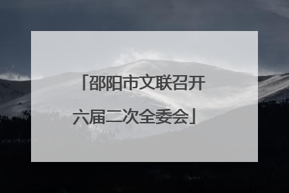 邵阳市文联召开六届二次全委会