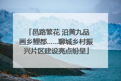 邑路繁花 沿黄九品 画乡鲤都……聊城乡村振兴片区建设亮点纷呈