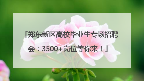 郑东新区高校毕业生专场招聘会：3500+岗位等你来！