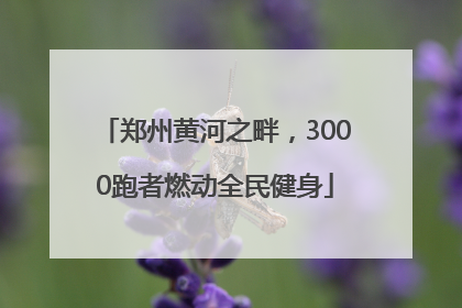 郑州黄河之畔，3000跑者燃动全民健身