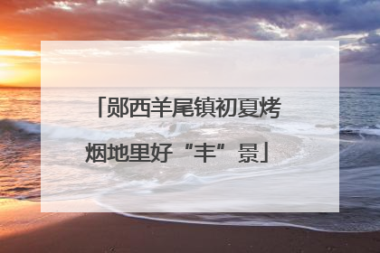 郧西羊尾镇初夏烤烟地里好“丰”景