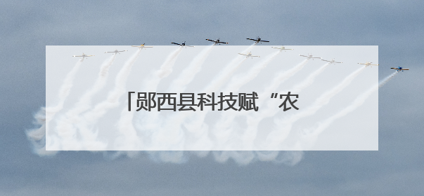 郧西县科技赋“农”“智”绘新画卷