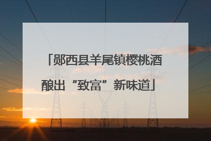 郧西县羊尾镇樱桃酒酿出“致富”新味道