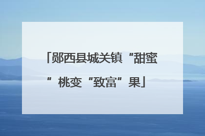 郧西县城关镇“甜蜜”桃变“致富”果